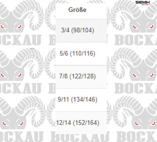 Kinder T-Shirt Grau/Black Bock SC Teutonia Bockau Siemik Sport