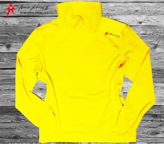 Kneissl Design Hoodie Men yellow Premium