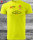 Skifliegen Österreich Team Siemik  Austria Edition "COOL ME 2024" T-Shirt mit Elasthan Rass Siemik Kneissl  Lime Premium